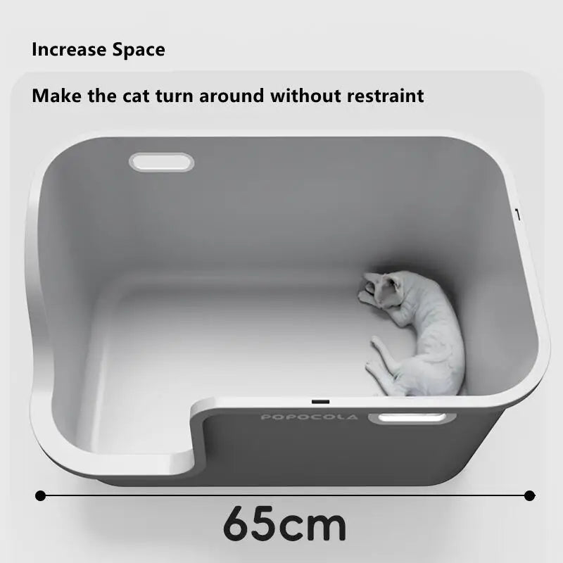 Large Cat Litter Boxes Corridor
